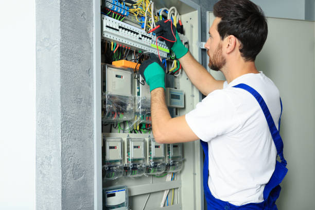 Best Electric Panel Repair  in Garden Plain, KS